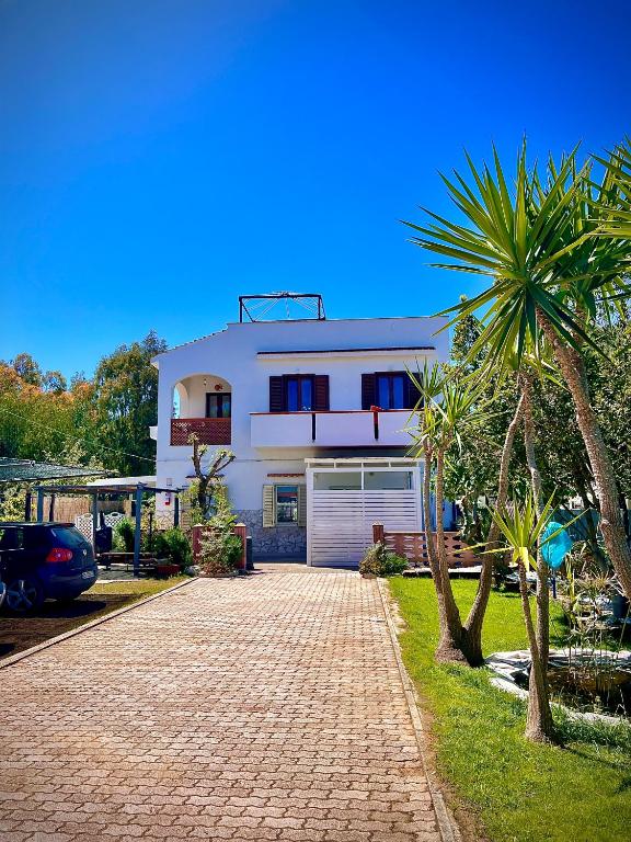 a white house with a palm tree and a brick driveway at Villa Latino in Vieste