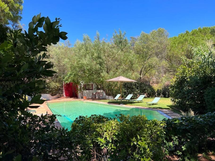 une piscine dans une cour avec des chaises longues dans l'établissement Grand Mas avec piscine sur Ramatuelle-Saint-Tropez, à Ramatuelle