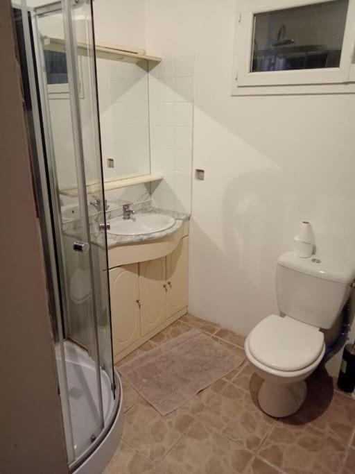 a bathroom with a shower and a toilet and a sink at Chambre d'hôte entré indépendante tout équipé in Graulhet