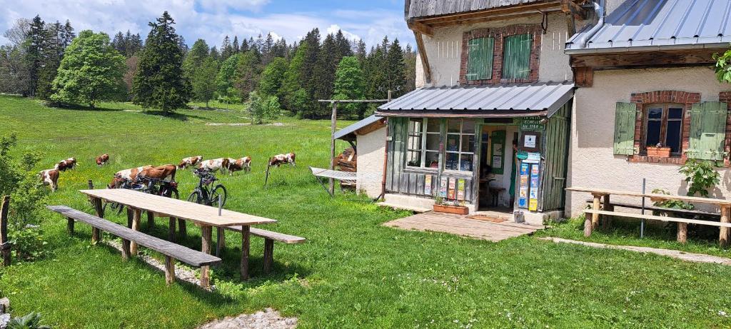 Zahrada ubytování La Petite Echelle