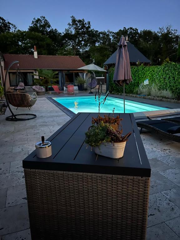 une table avec des plantes et un parasol à côté d'une piscine dans l'établissement Le Val de Nodicia, à Montlivault