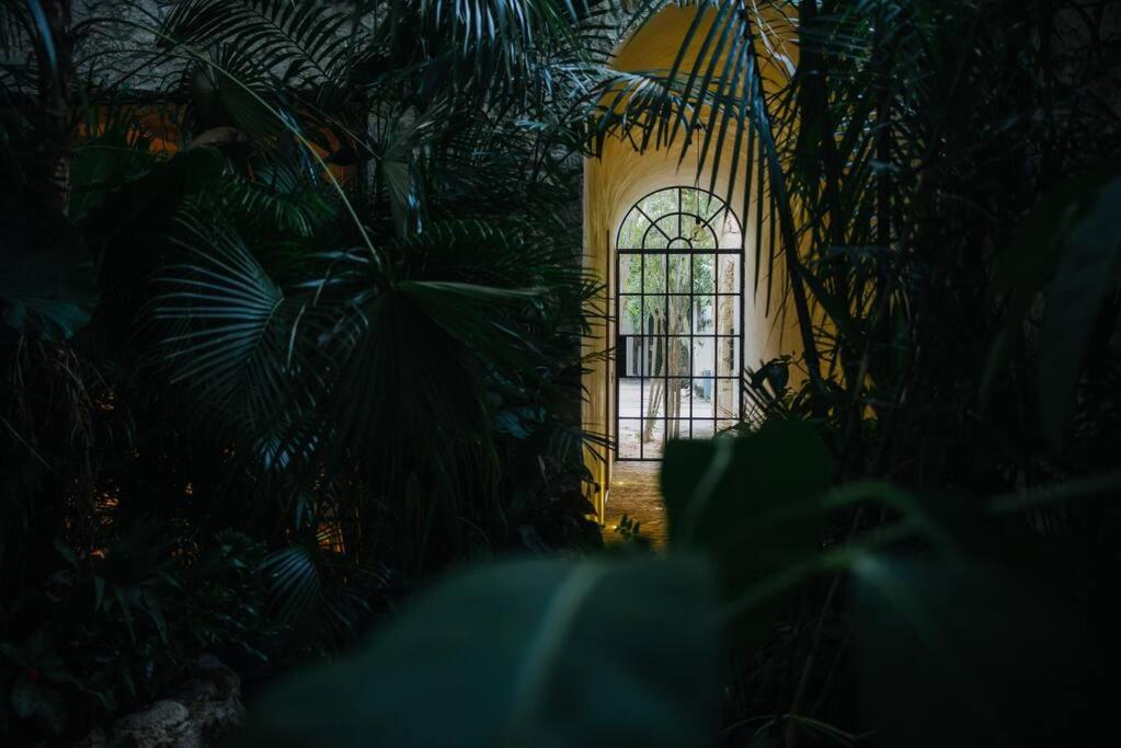 Jardín al aire libre en Design Loft with private pool and SPA like feature