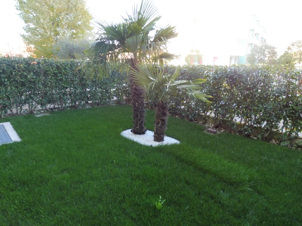 Ogród w obiekcie Residence Elisa Piano Terra con Giardino e Posto Spiaggia Incluso