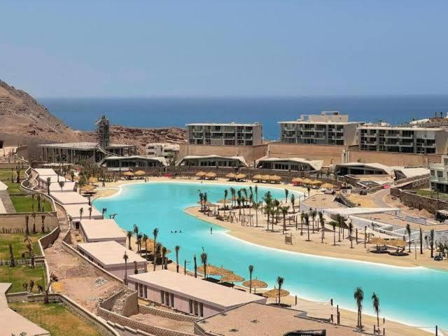 a large swimming pool with palm trees in a resort at Monte galala chalet in Ain Sokhna