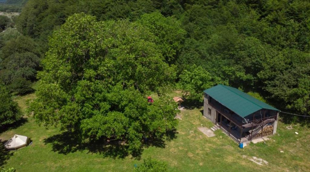 Příroda nedaleko luxury tent