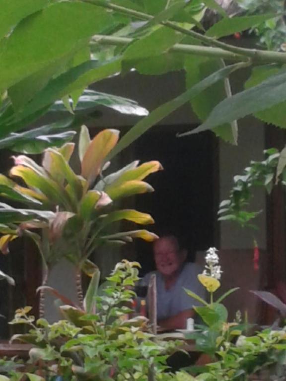 Fantastic Cottages - 3