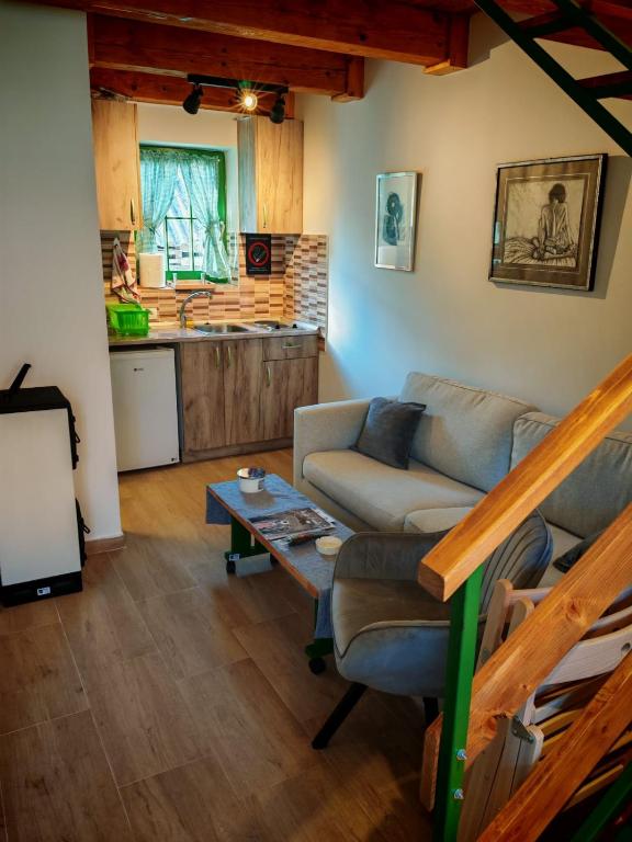 Kuchyň nebo kuchyňský kout v ubytování Apartmani LA MagaZa Banja Vrujci