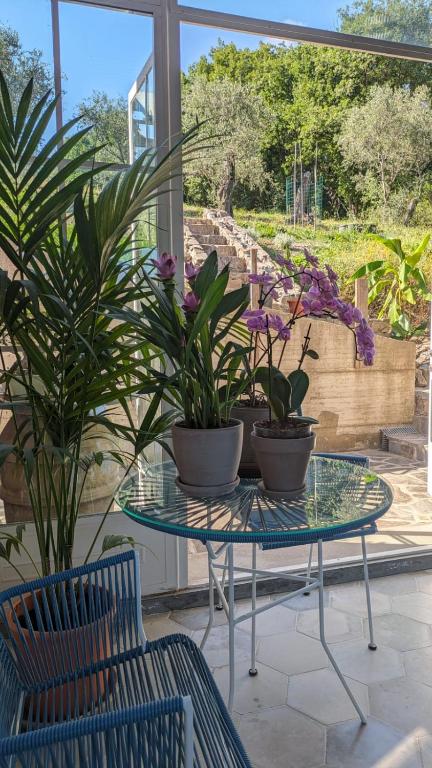 Zahrada ubytování Villa Sarita