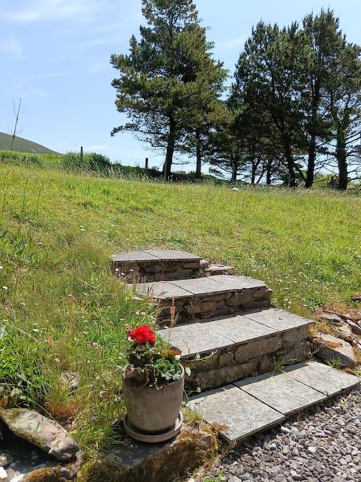 Zahrada ubytování Dingle Escape -2 Bed -Sleeps 4
