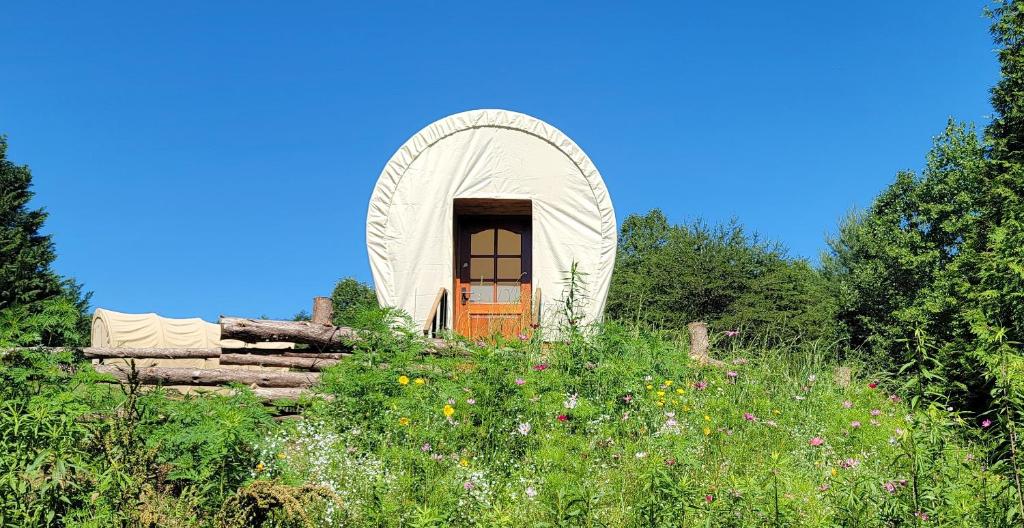 Κήπος έξω από το Covered Wagons Hill Camp - WAGON 3