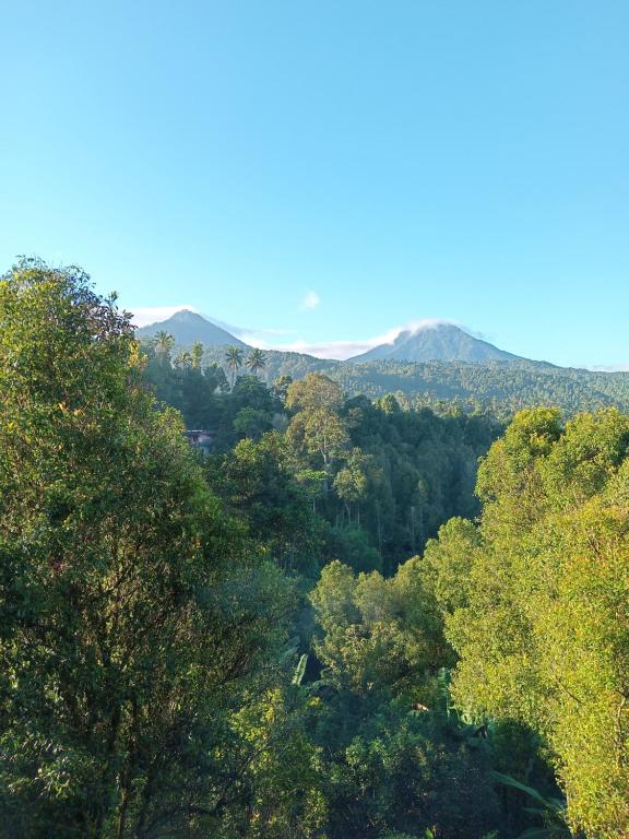 Kanaya Homestay & Warung Heaven - 8