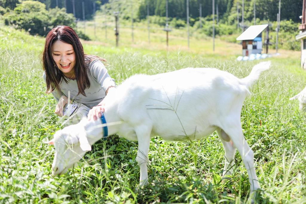 飯店或附近的動物