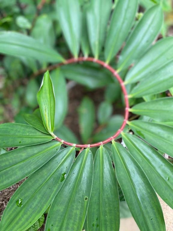 Reef Gateway Apartments - Resim 33