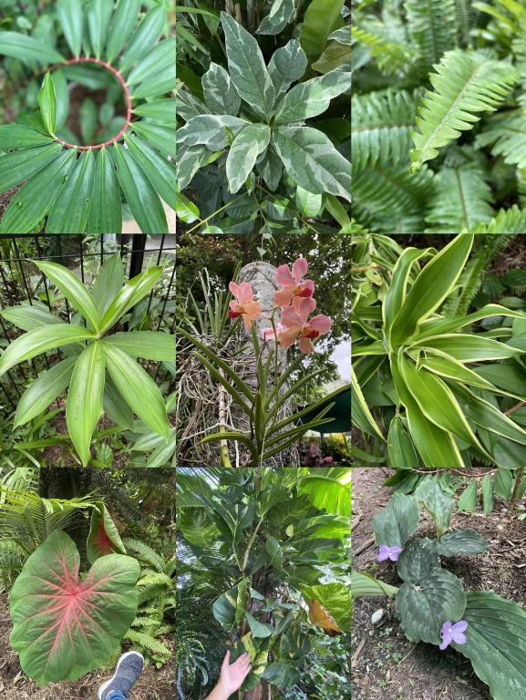 Reef Gateway Apartments - Resim 30