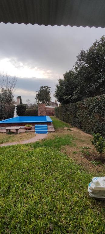 a group of blue surfboards sitting in the grass at Pergamino GUEST HOUSE in Pergamino