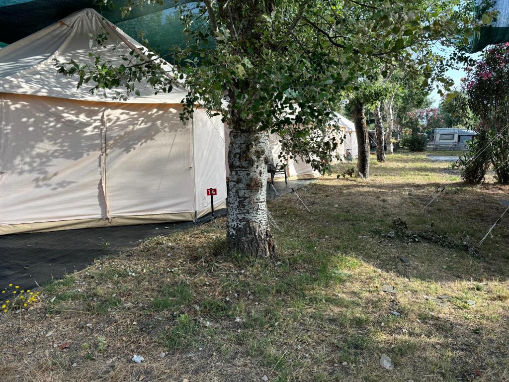 Zahrada ubytování Paliouri Luxury Bungalows
