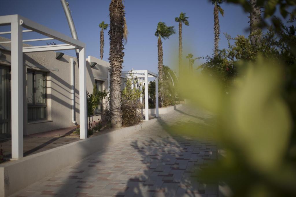 Fotografie z fotogalerie ubytování Desert Iris Hotel v destinaci Jerucham