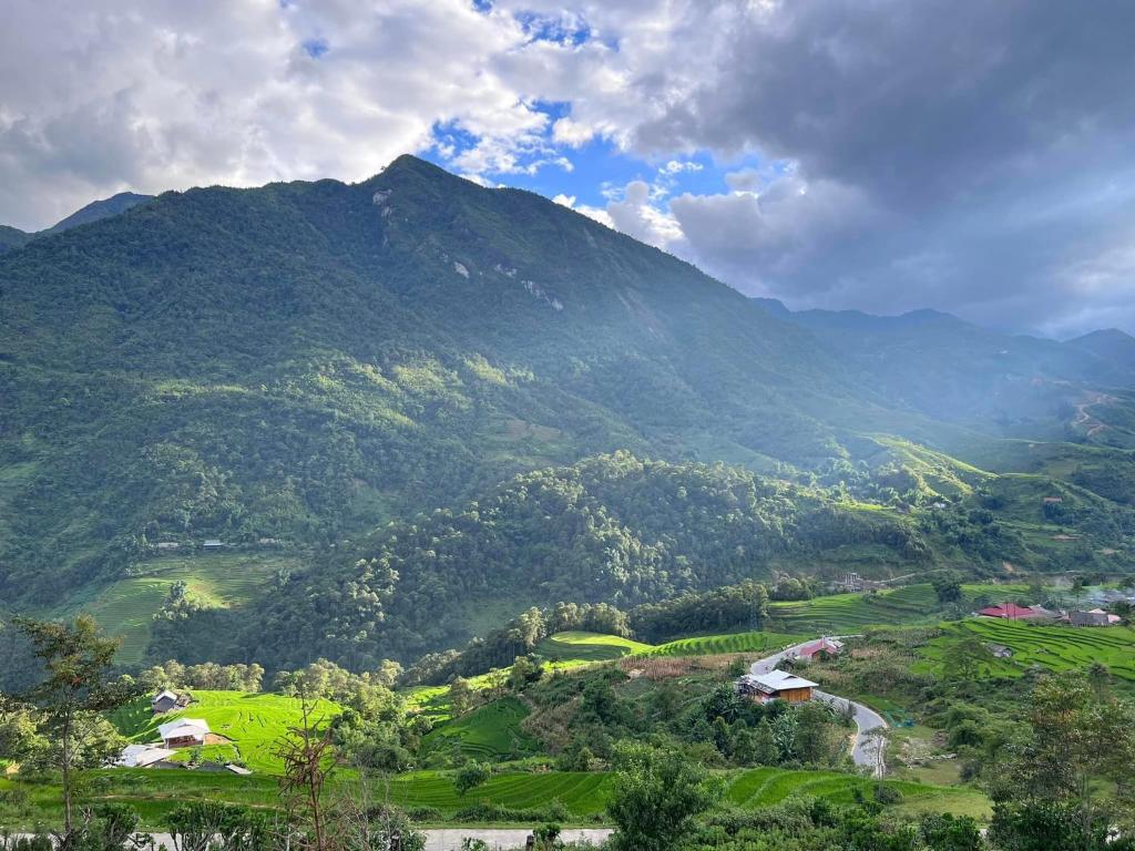 Lagom home - Cactus - 16