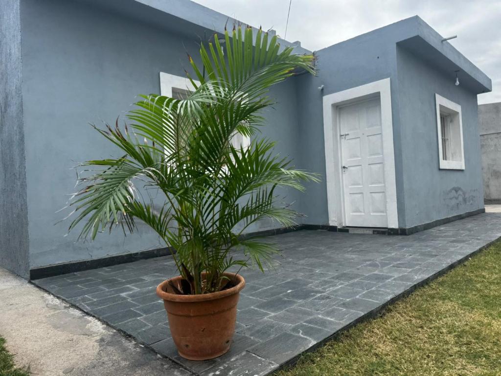 En have udenfor Cordon del Velazco