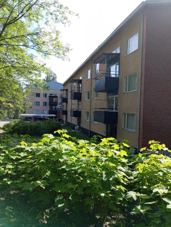 a field of yellow flowers in front of a building at Worker Accomodation in Kouvola