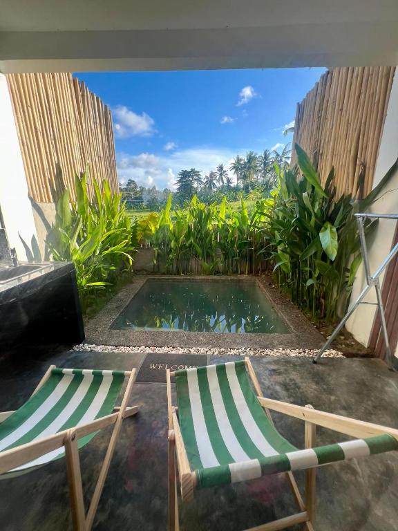 Zahrada ubytování Hakuna Villas