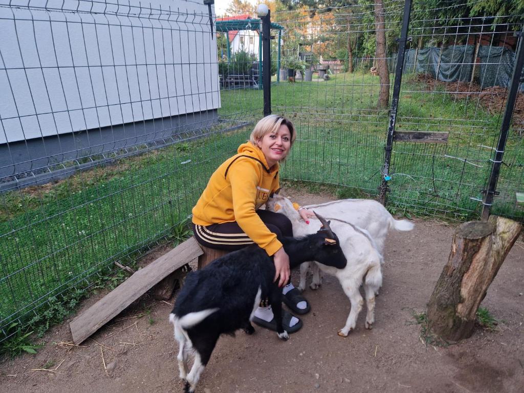 Zvieratá v dovolenkovom dome alebo blízkom okolí