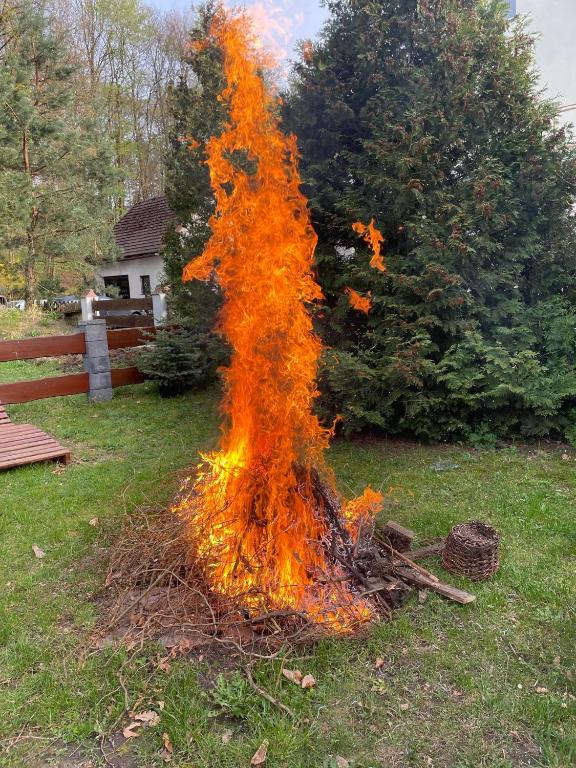 Fotografia z galérie ubytovania "Miło.Tu" Pokoje Gościnne v destinácii Łagów