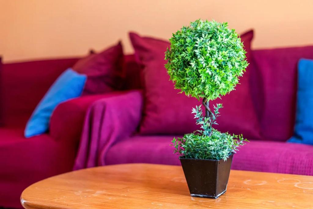 Posezení v ubytování Solymar Jasmin A8