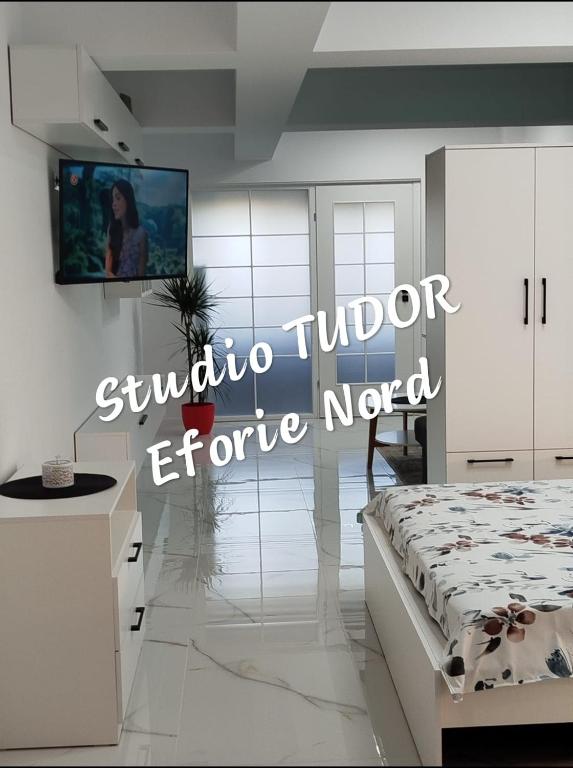 a room with a bed and a tv on a wall at Studio Tudor Eforie Nord in Eforie Nord