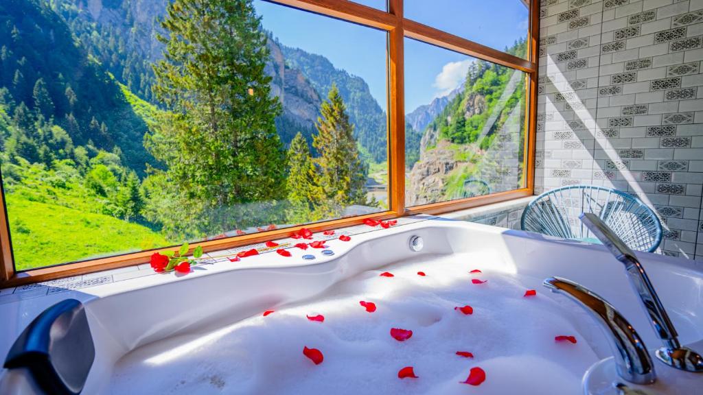 تصویر اتاق‌های PAZARCIK MOUNTAIN HOTEL - تصویر ۲