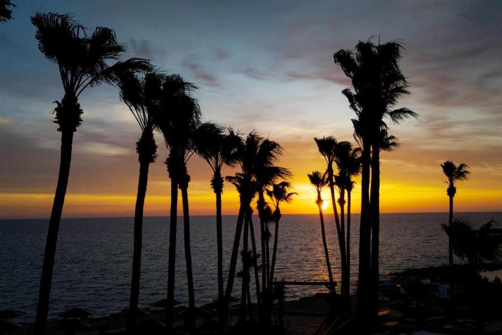 a group of palm trees on the beach at sunset at Cavo Maris Beach Hotel in Protaras