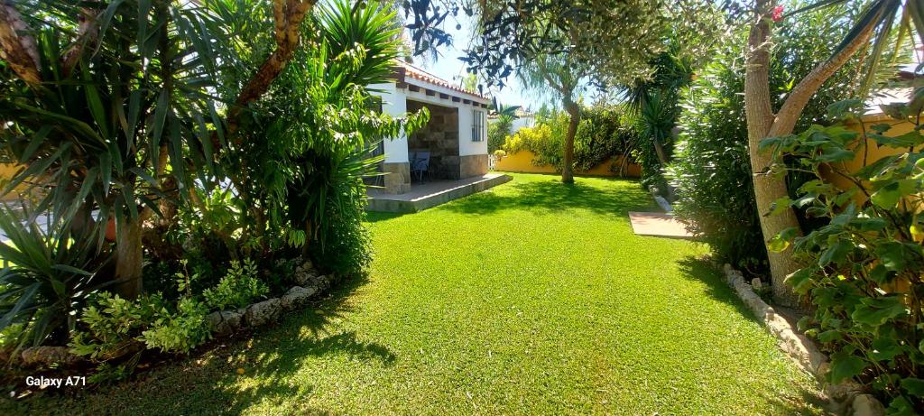 ogród z zieloną trawą i dom w obiekcie Chalet la Huerta 2 amplios jardines barbacoa y WiFi w mieście Conil de la Frontera