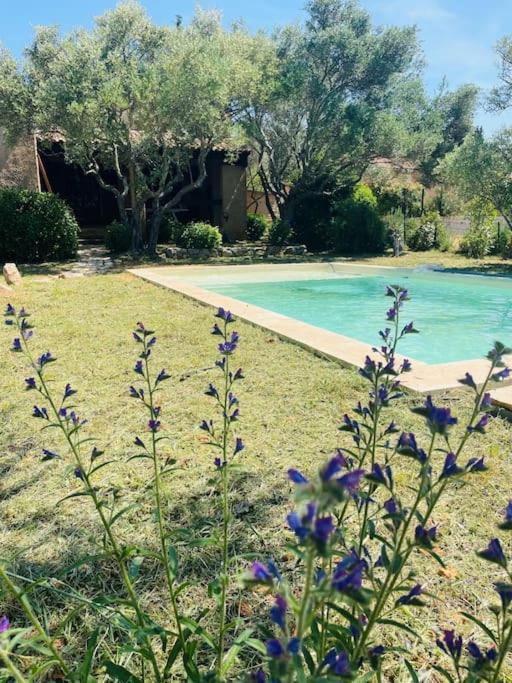 une cour avec une piscine et des fleurs violettes dans l'établissement Maison Cian en Provence, à Tavernes