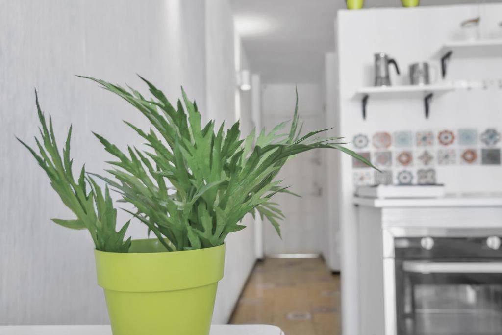 Una cocina o zona de cocina en Apartamento Con Encanto
