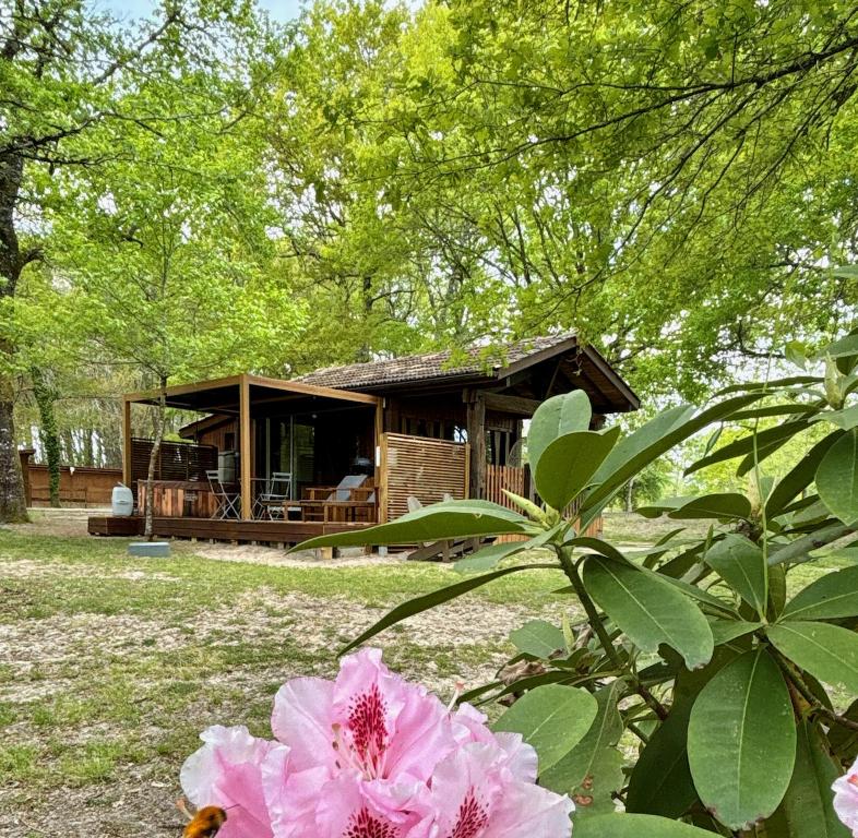 a cabin in the woods with a pink flower at Chalet Romantique in Marions