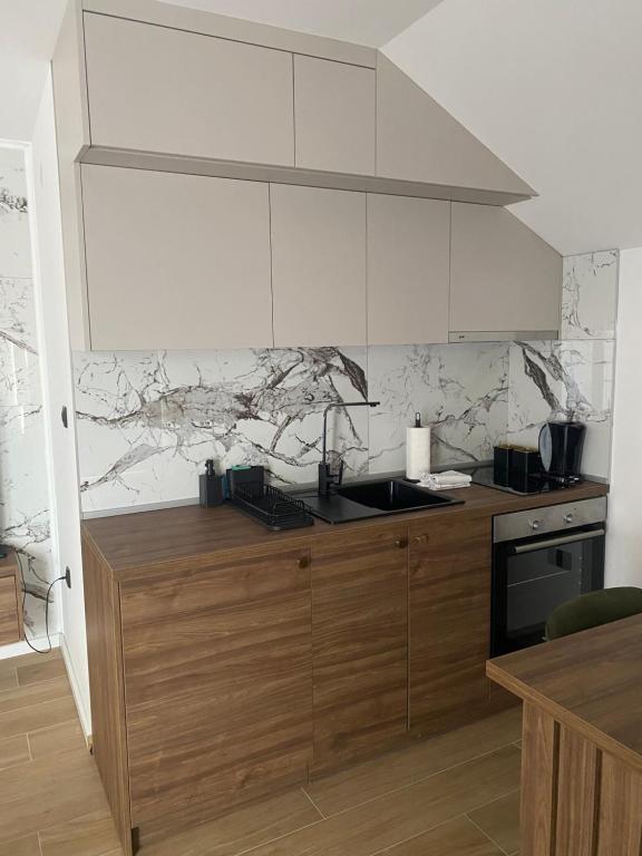 Kuchyň nebo kuchyňský kout v ubytování Apartmani Lazarevic Jagodina
