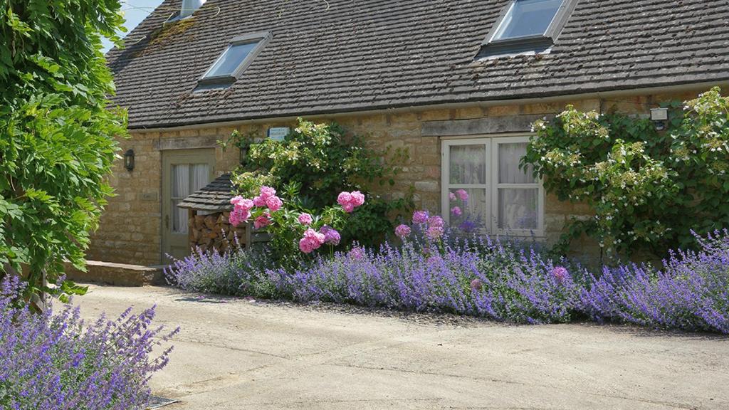 Cope Cottage - Housity