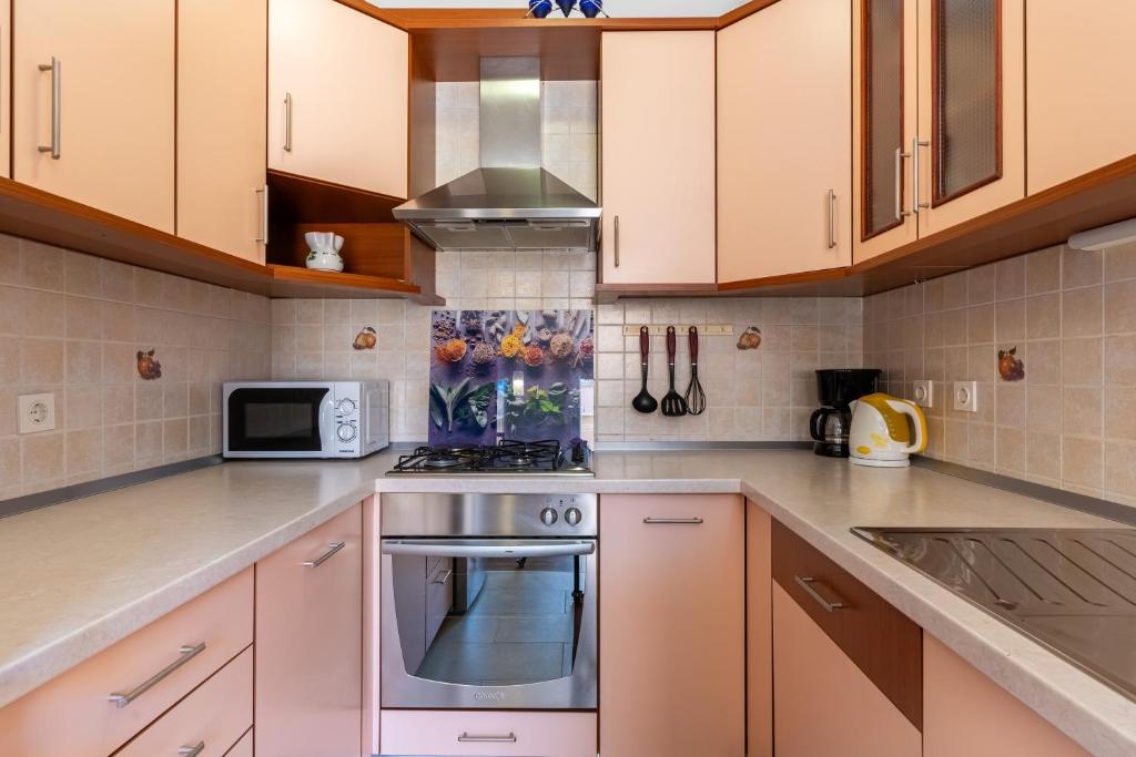 Kuchyň nebo kuchyňský kout v ubytování Apartman Laura