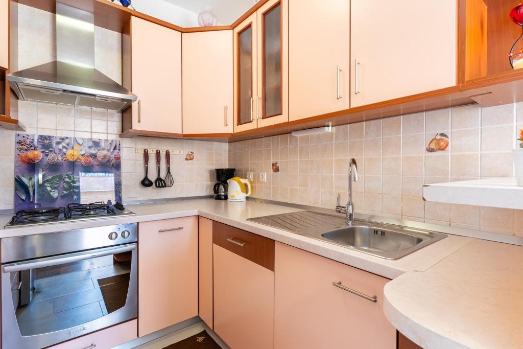 Kuchyň nebo kuchyňský kout v ubytování Apartman Laura