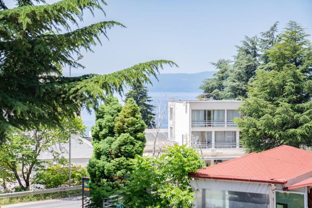 Building with trees