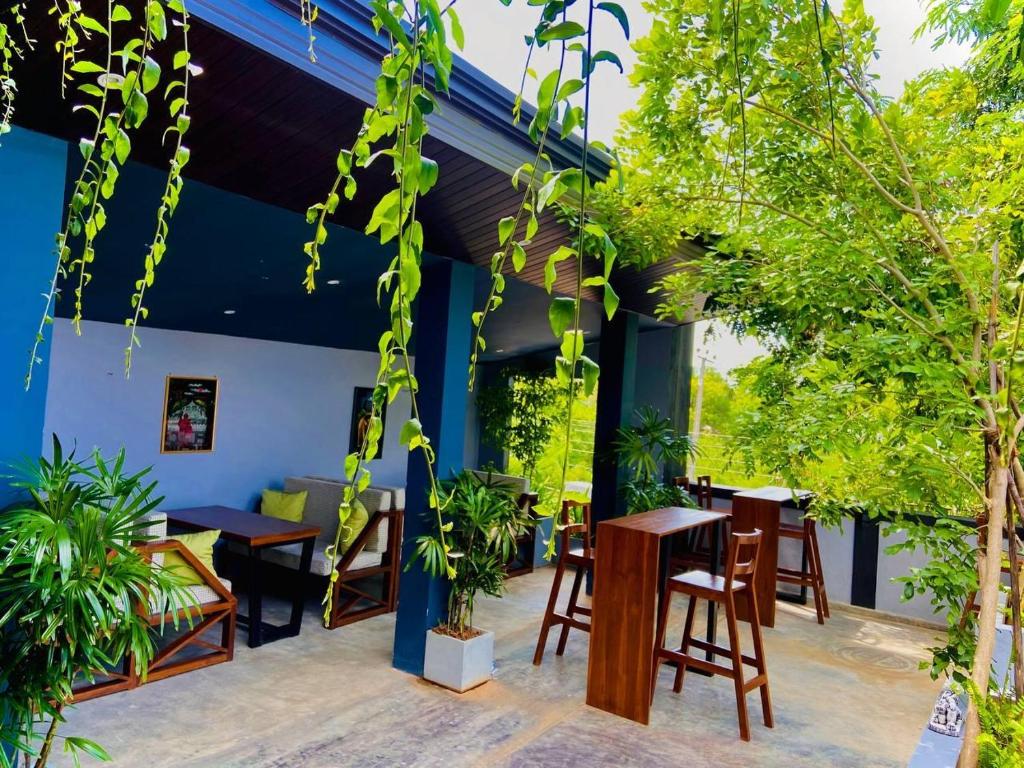 Zahrada ubytování Coffee House Dambulla
