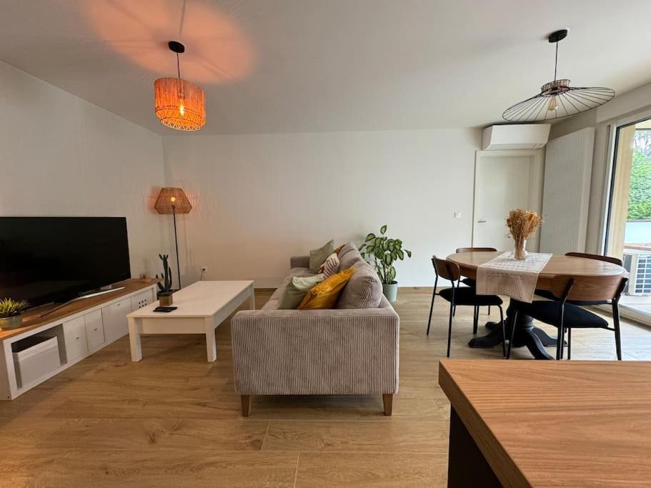 TV a/nebo společenská místnost v ubytování Au Domaine des Vignes - Appt 4 Pers avec balcon