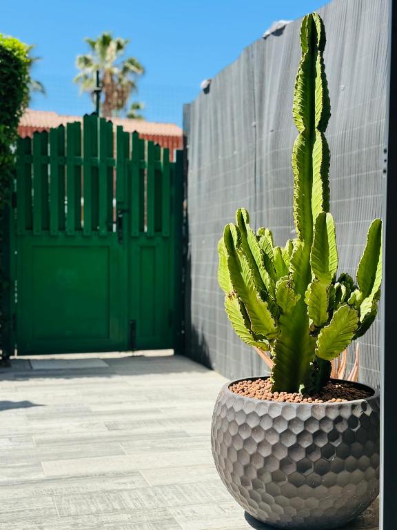 Fotografie z fotogalerie ubytování Bungalow Casita v destinaci Maspalomas