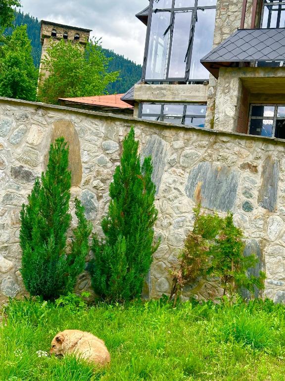 Fotografie z fotogalerie ubytování Mziuri Guest House v destinaci Mestia