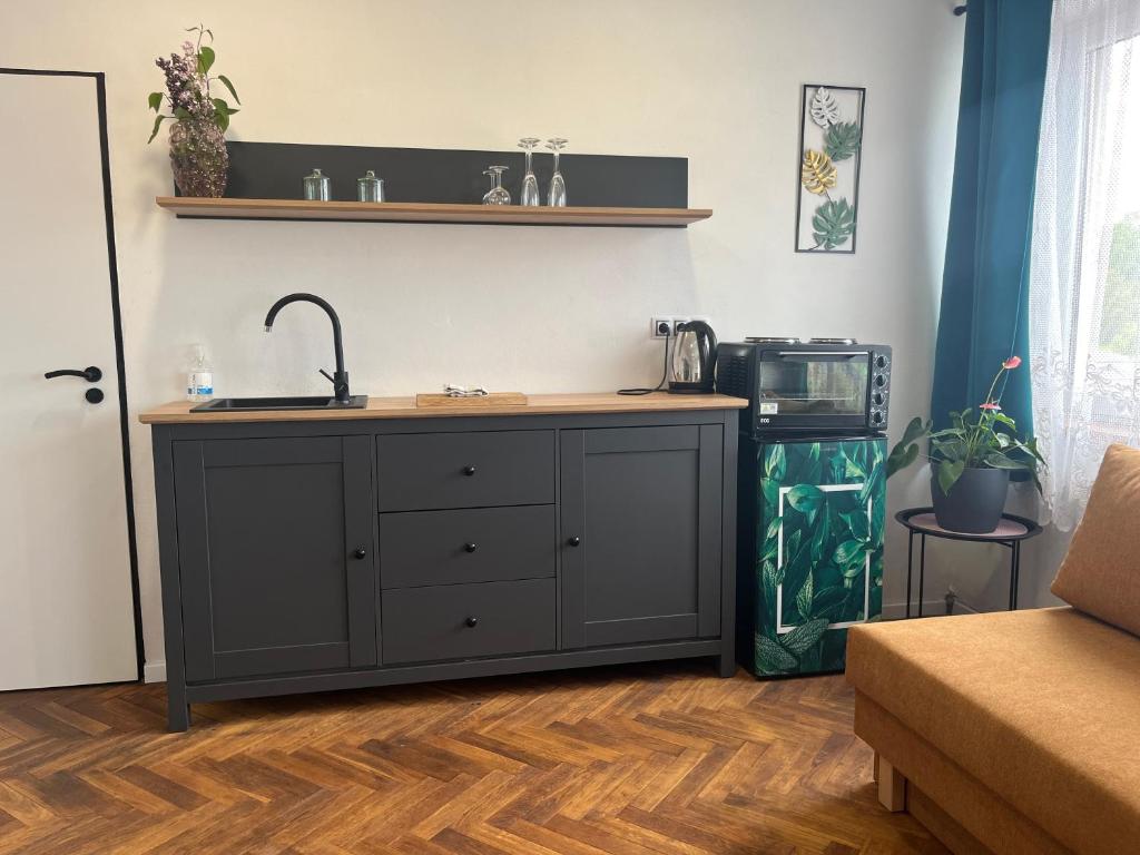 Kuchyň nebo kuchyňský kout v ubytování Monstera I
