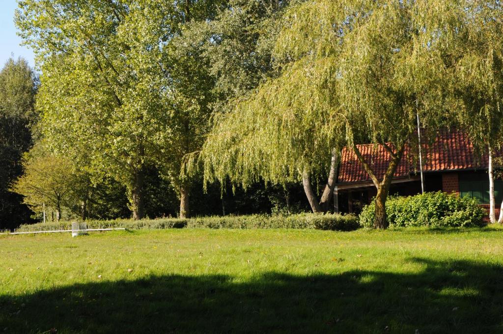 Hotel und Gästehaus Will - Resim 21