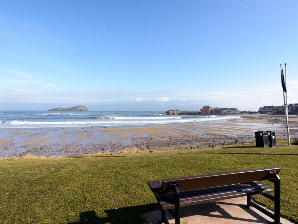 a bench sitting on the grass near the beach at Beach Court in North Berwick