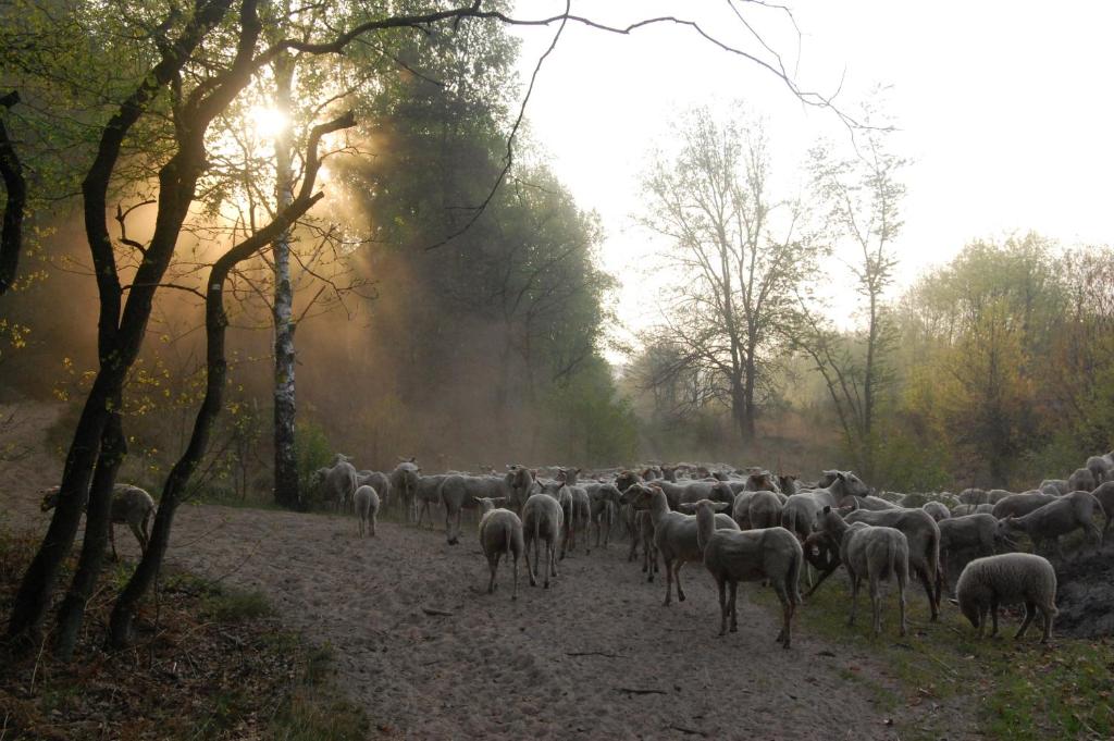 Paesaggio naturale nelle vicinanze del bed & breakfast