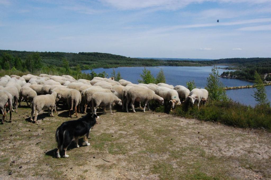 Paesaggio naturale nelle vicinanze del bed & breakfast