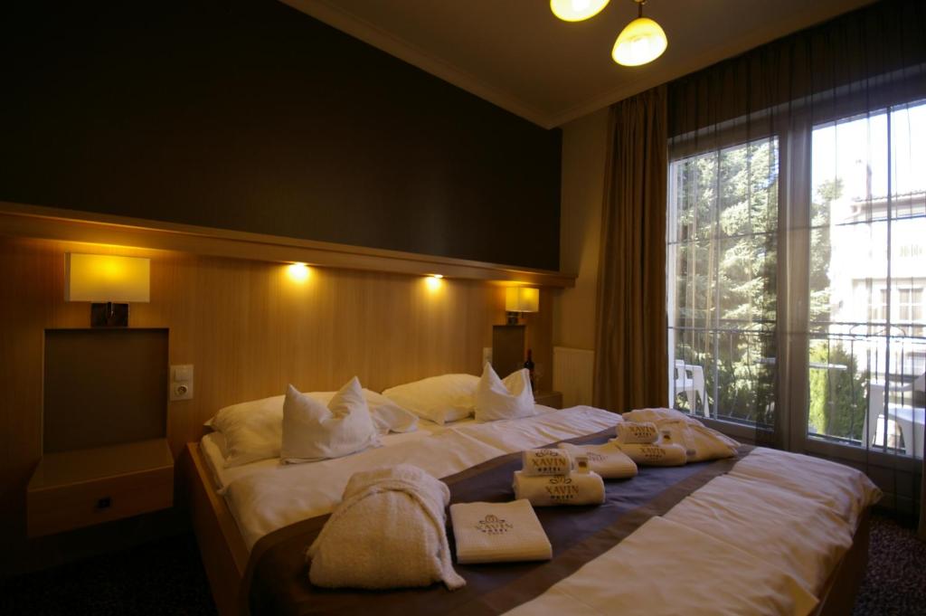 Xavin Wellness Hotel & Restaurant - Dubbele Of Dubbele Kamer